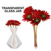 2Pcs Transparent Glass Vase High Borosilicate Clear Planter Jar Hydroponic Propagation Flower Display Home Office Decor