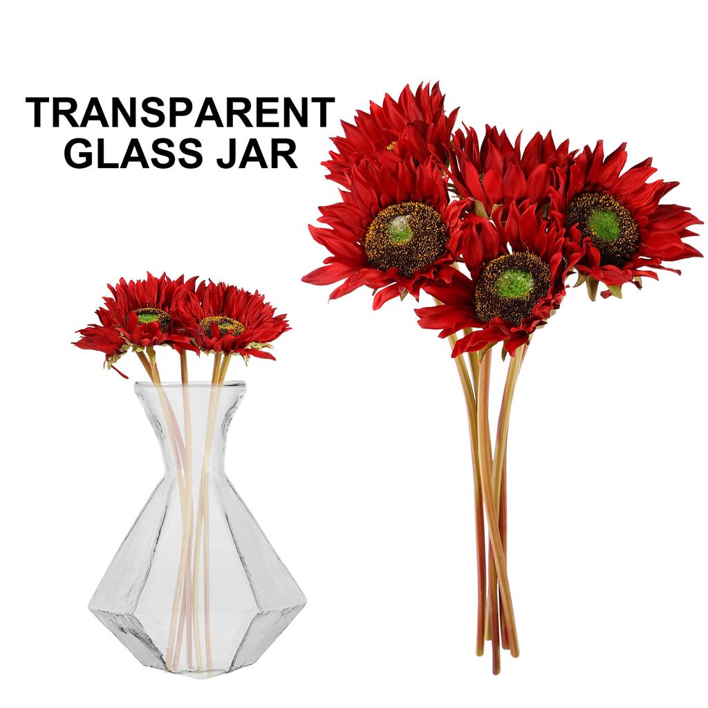 2Pcs Transparent Glass Vase High Borosilicate Clear Planter Jar Hydroponic Propagation Flower Display Home Office Decor