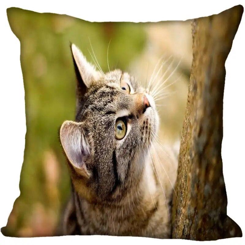 Pillowcase Modern Home Cat Animal  Living Room