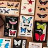 Mu Ran Feather's Rest Butterfly Thank You Postcard Set