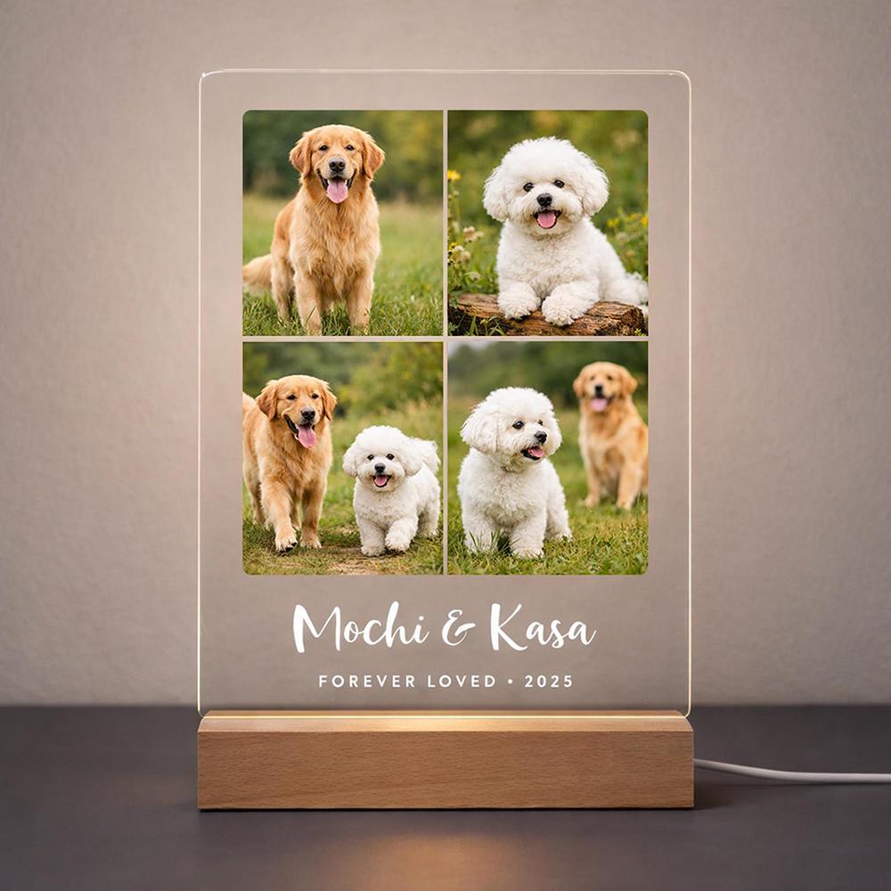 Custom Dog Cat Night Light Pet Photo Acrylic Light Unique Memorial Home Decor Bedside Light Custom LED Cute Pet Pattern Light