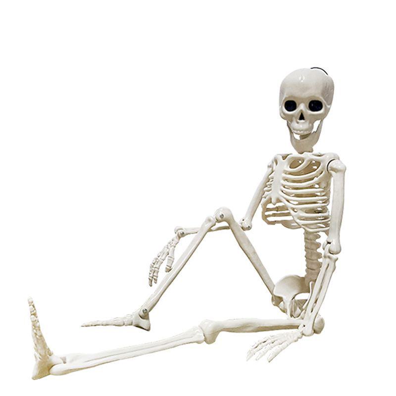 Halloween 60cm Human Skeleton Decoration for Haunted House Festival Props