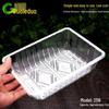 Disposable Clear Rectangular Plastic Fruit Container