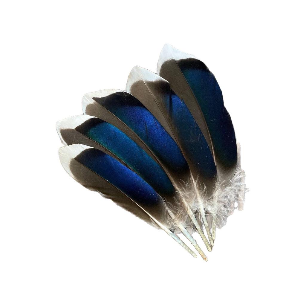 10-15Cm Duck Feathers Handmade Natural Pheasant Feathers Handmade Diy Accessories Wedding Party Jewelry
