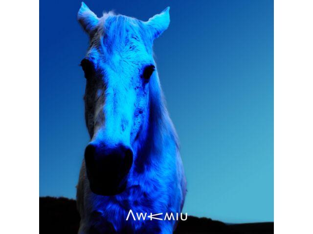 

[CD] Saredo Sora no Aosa wo Shiru Nomal Edition Awkmiu VVCL-2449 J-Pop EP NEW