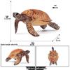 Cross-Border Children's Cognitive Amphibian & Reptile Tortoise Model Fish Tank Ornament Toy
