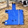 Young Cattle Jacket Insulated Padded Calf Coat with Reflective Stripe for Farmers, Cold