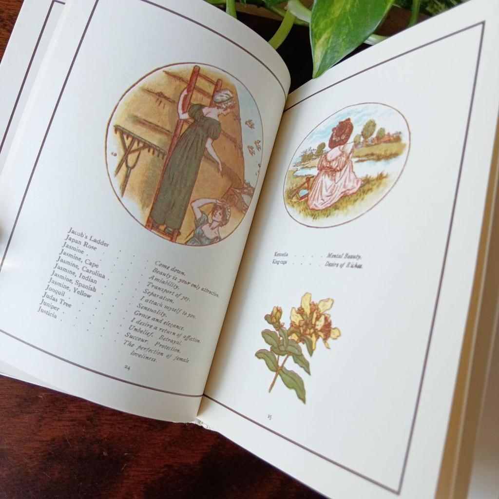 [USED] Old Western Books, 1884, Flower Language: Delicate Lines and Beautiful Colors, Kate Greenaway Art Collection