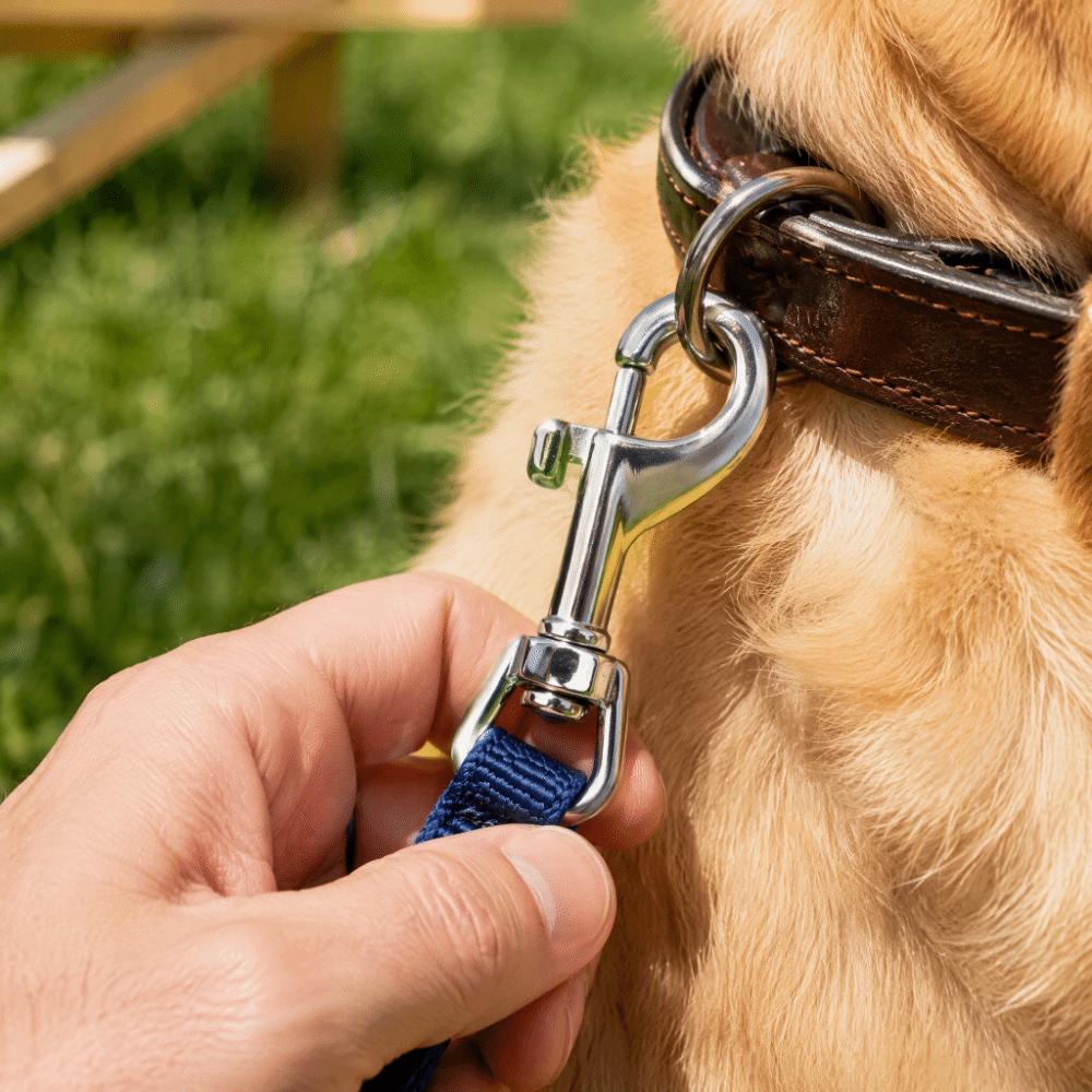 2pcs Swivel Eye Rotating Snap Hook 65mm Length Swivel Eye Snap Hook Pet Collar