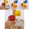 Premium Quality Wooden Colorful Scaling Ladder Fun Play Toy For Pet Rat Hamsters