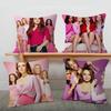 Campus Youth Mean Girls Movie Personalized Pillow Dust Cover Bedroom Kids Party Decoration Pillowcase Birthday Children Gift