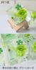 Crystal Herbarium Clover X 1 Flower Gift Clover Hardens Hardens Flower Cube Preserved Flower Artrium Birthday Thank You Celebration Four-leaf