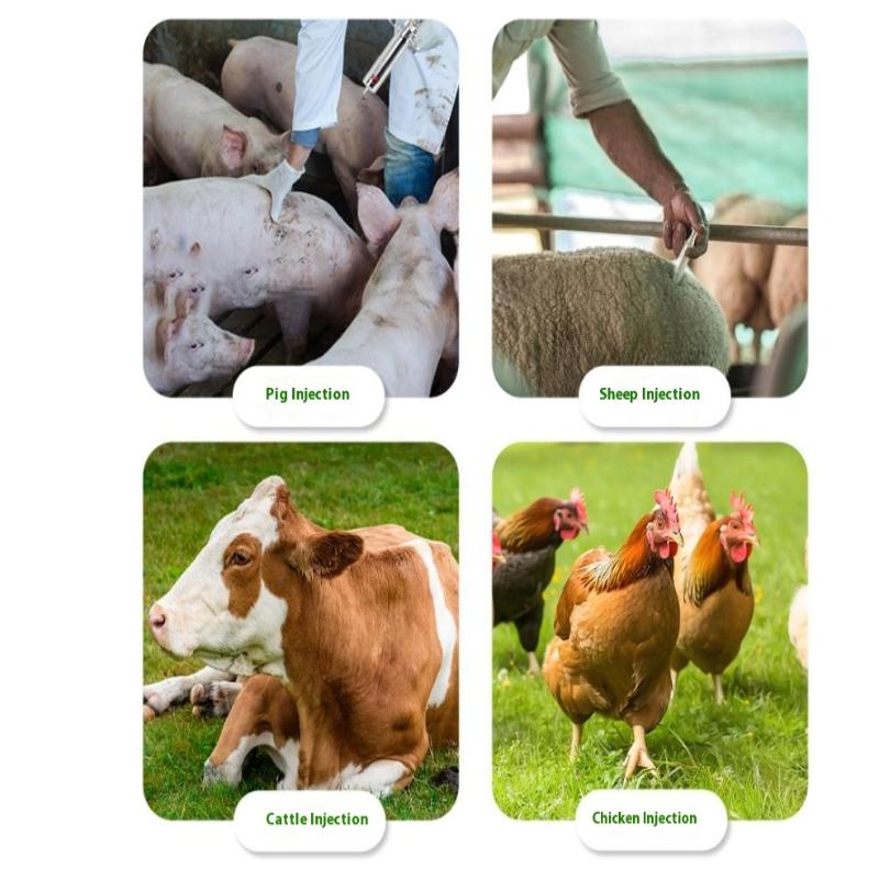 1 Set 20-50 ml Veteriner Alet Şırınga Aşı Enjeksiyonu Ayarlanabilir Doz 304 Paslanmaz Çelik İğne Ucu Dağıtıcı Hayvancılık Kümes Hayvanları