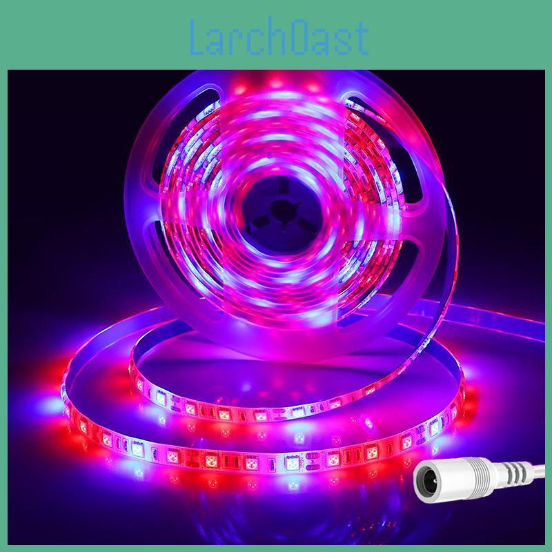 Red Smd Blue Led 5050 Grow Lights 12v Full Spectrum Light 5m Led Phyto Lamp Outdoor Indoor Plants Growing Cultivation Flower Lamps