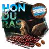 Coffee beans cafeiere Arabica Honduras HG, 1kg