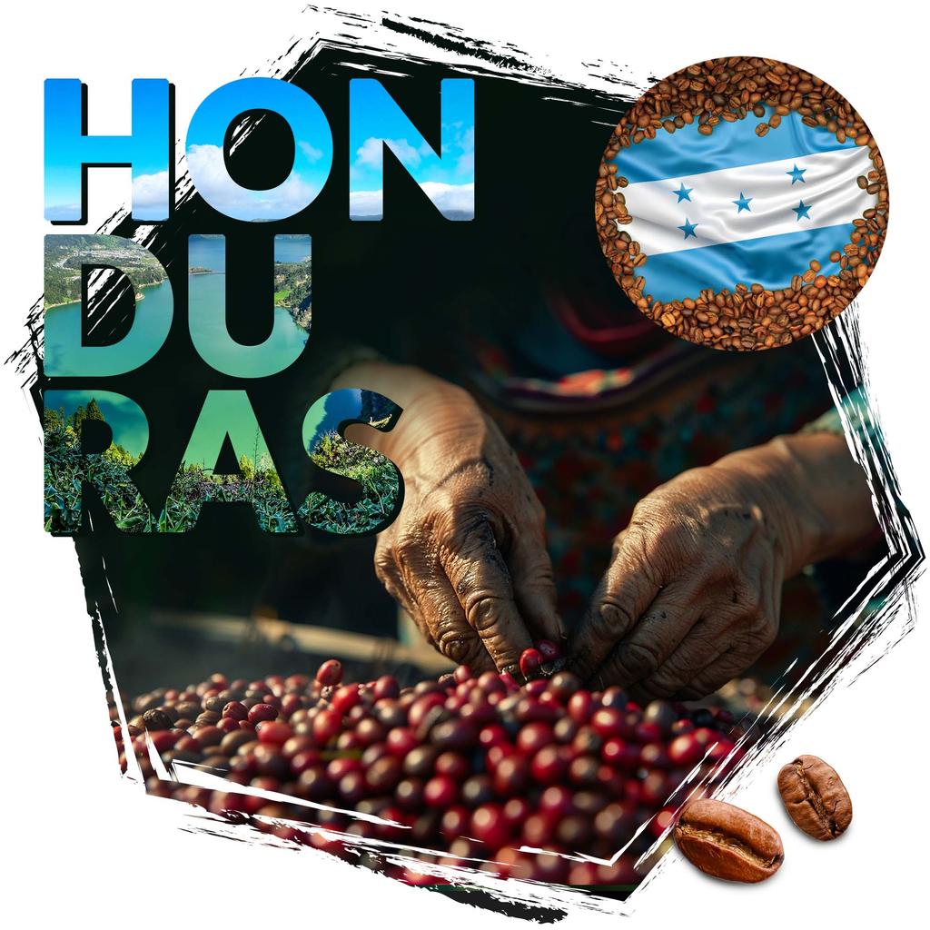 Coffee beans cafeiere Arabica Honduras HG, 1kg