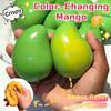 Handgemachter Knuspriger Mango Stressball Quetschspielzeug, Farbwechselnde Mango Squishy Fidget Ball, Asmr Sensorisches Stressabbau Spielzeug