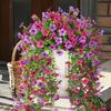 2PCS Realistic Simulated Wall Hanging Flowers Plastic UV Resistant Wall Hanging Plant Eucalyptus Garland Fake Plants