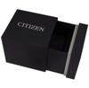 Citizen FC0014-54A Watch