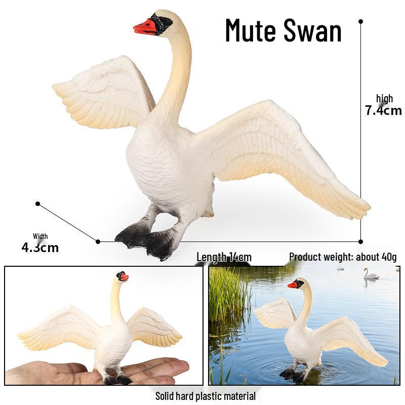 Realistic Warty-Nosed Swan Heart Model: Children's Cognitive Toy & Zoo Decoration