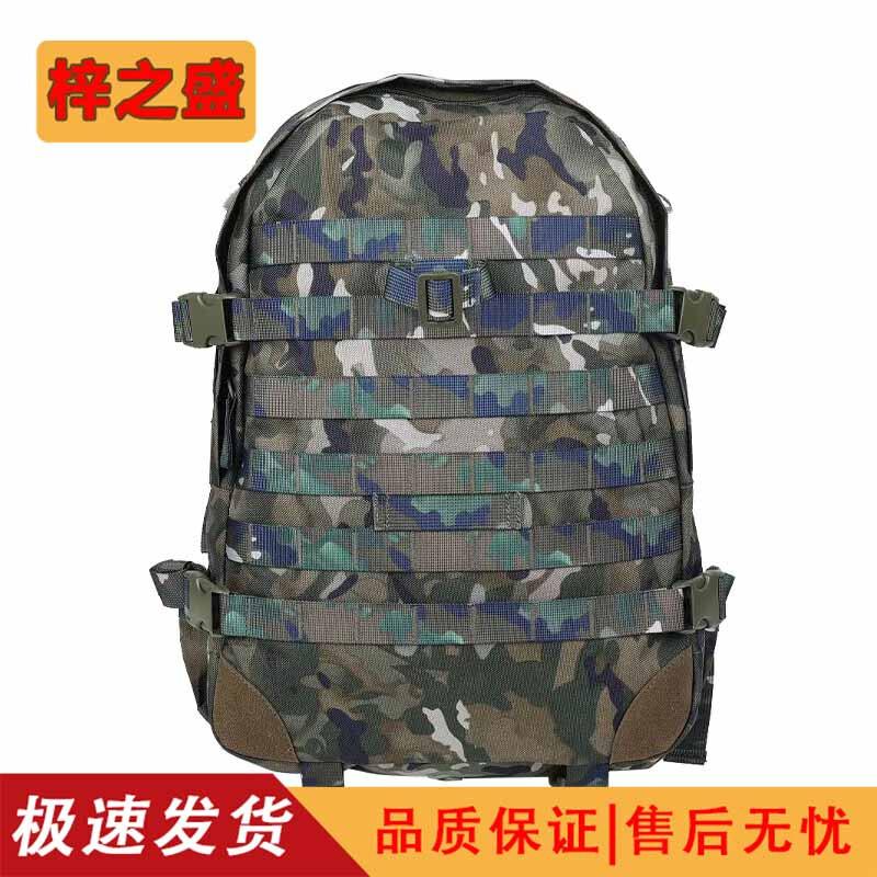 

Outdoor Tactical Training Backpack