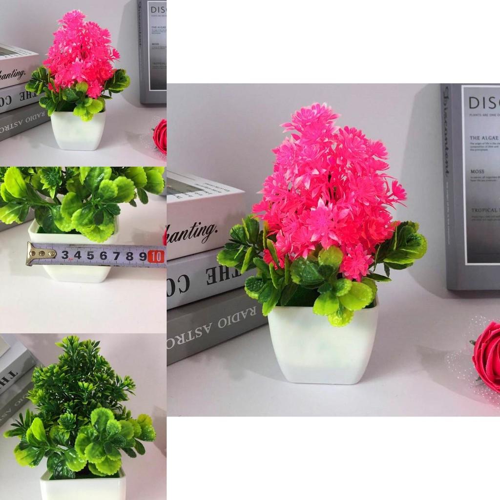 Artificial Flower And Foliage Miniature With Plastic Construction For Indoor Decoration