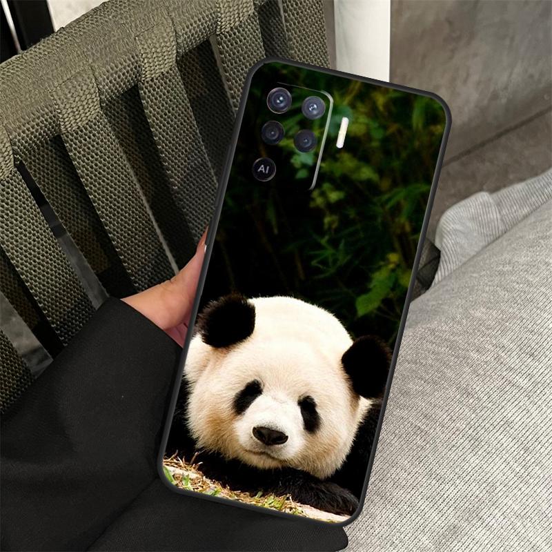 Panda Cute Kawaii Animal Case For Oppo A80 A60 A40 A94 A54 A98 A78 A18 A38 A58 A16 A76 A96 A17 A77 A74 A57S A15 Cover