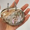 Mini Compact Natural Seashell Notebook Natural Shell Mini Notebook Sketchbook  Personal Use
