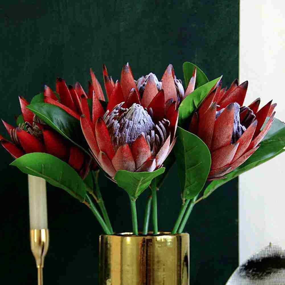Kaufe Knstliche Protea-King-Blume fr Hochzeiten und Dekoration.  SilkFake-Pflanzenstrau zum Preis ab 5.33 | Joom
