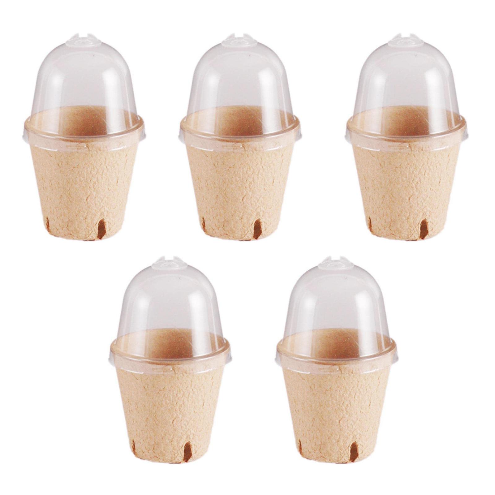 

5 шт. горшков для рассады, квадратные биоразлагаемые горшки для рассады с куполом для увлажнения, торфяные горшки для рассады C