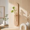 Home Ornaments Hydroponic Plant Shelf Vase Water Plant Tube Stand  Background Wall