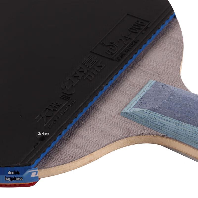 DHS Table Tennis Racket - TB6 Professional Short Handle