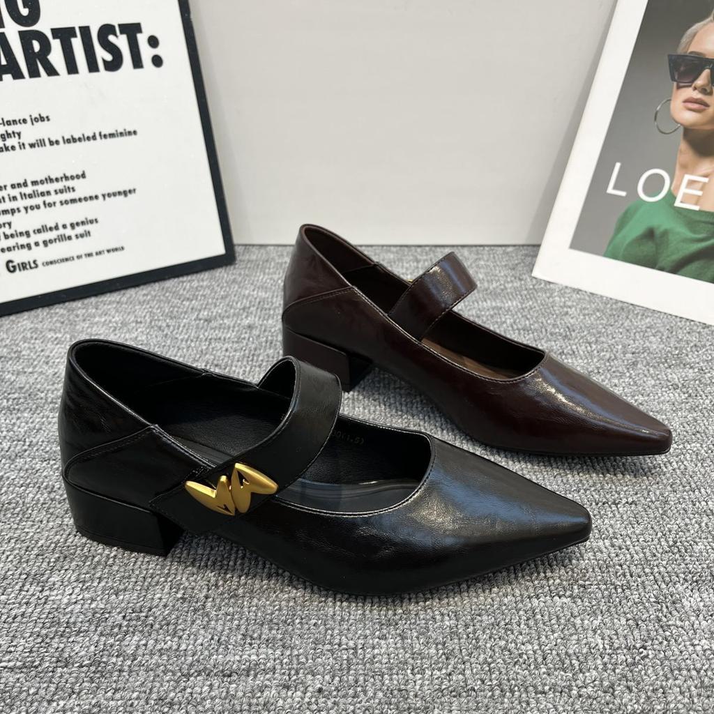 French thick heel single shoes women's 2025 autumn new metal buckle pointed head shallow mouth foreign style word with Mary Jane women's shoes