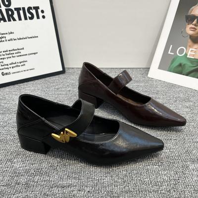 French Thick Heel Single Shoes Women's 2025 Autumn New Metal Buckle Pointed Head Shallow Mouth Foreign Style Word with Mary Jane Women's Shoes
