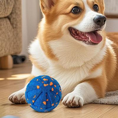 Köpek – Köpek oyuncakları