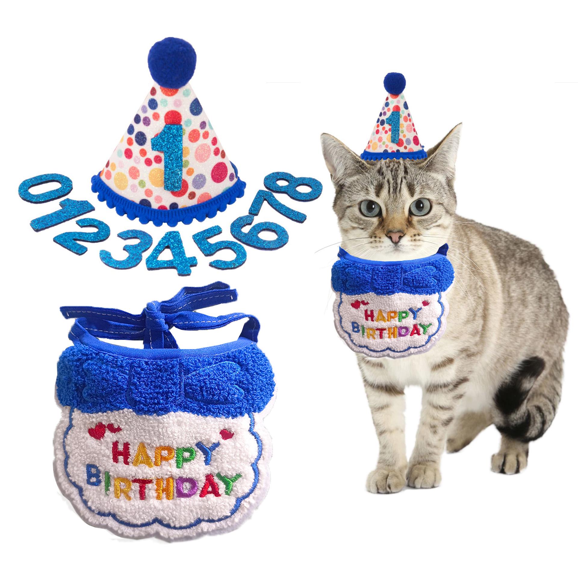 Pet Birthday Hat & Bib Set with Number Decoration