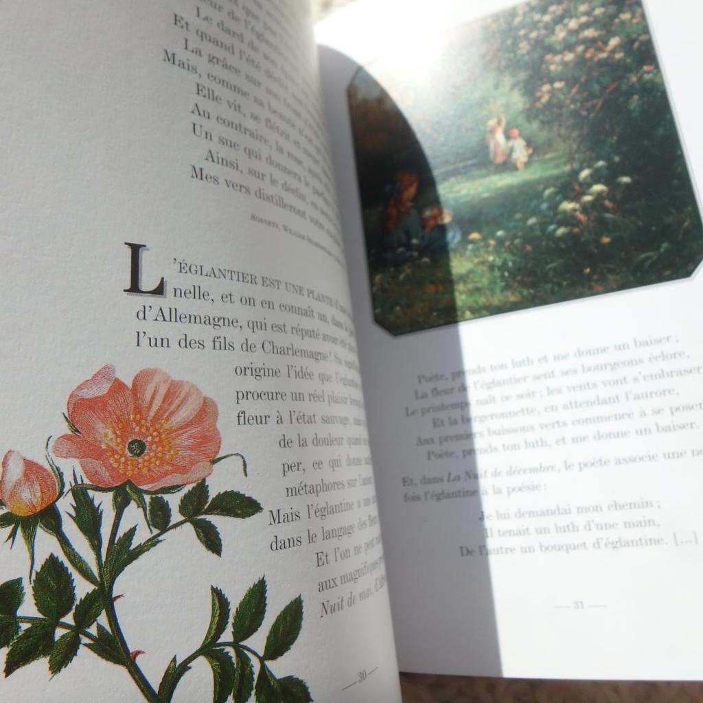 [USED] Le Langage des Fleaurs Sauvages: The language of flowers in French