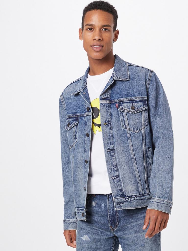 Демисезонная куртка Levi's Herren The Trucker Jacket Man (72334-0573) skyline