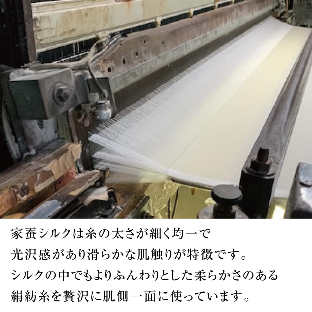 Alphax Kissenbezug, 45cm x 65cm, Natürliche Seide Siegelwebart, Hergestellt in Japan, AP-439202