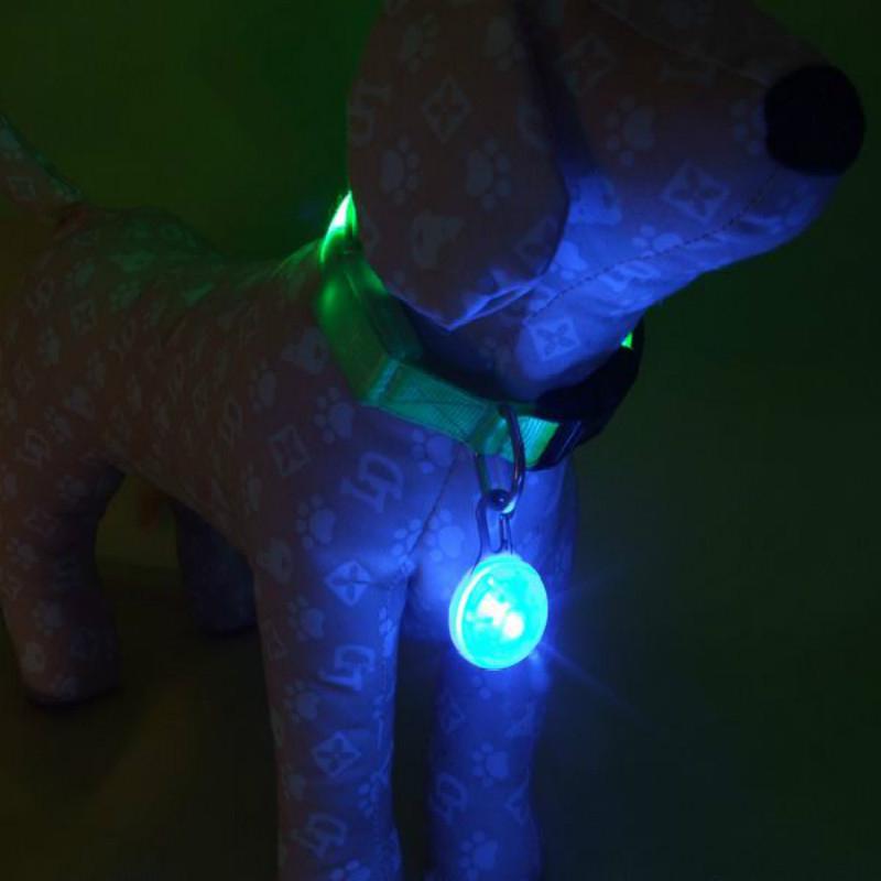 Guler de câine cu clips pentru lumini cu LED pentru siguranță impermeabilă, plimbări nocturne, pisică, câine