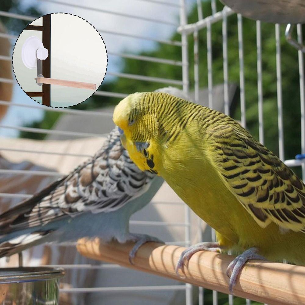 Wood Suction Cup Bird Stand Safe Teeth Grinder Bird Toy Bracket Bird Bath Perch Stand  Sun Birds