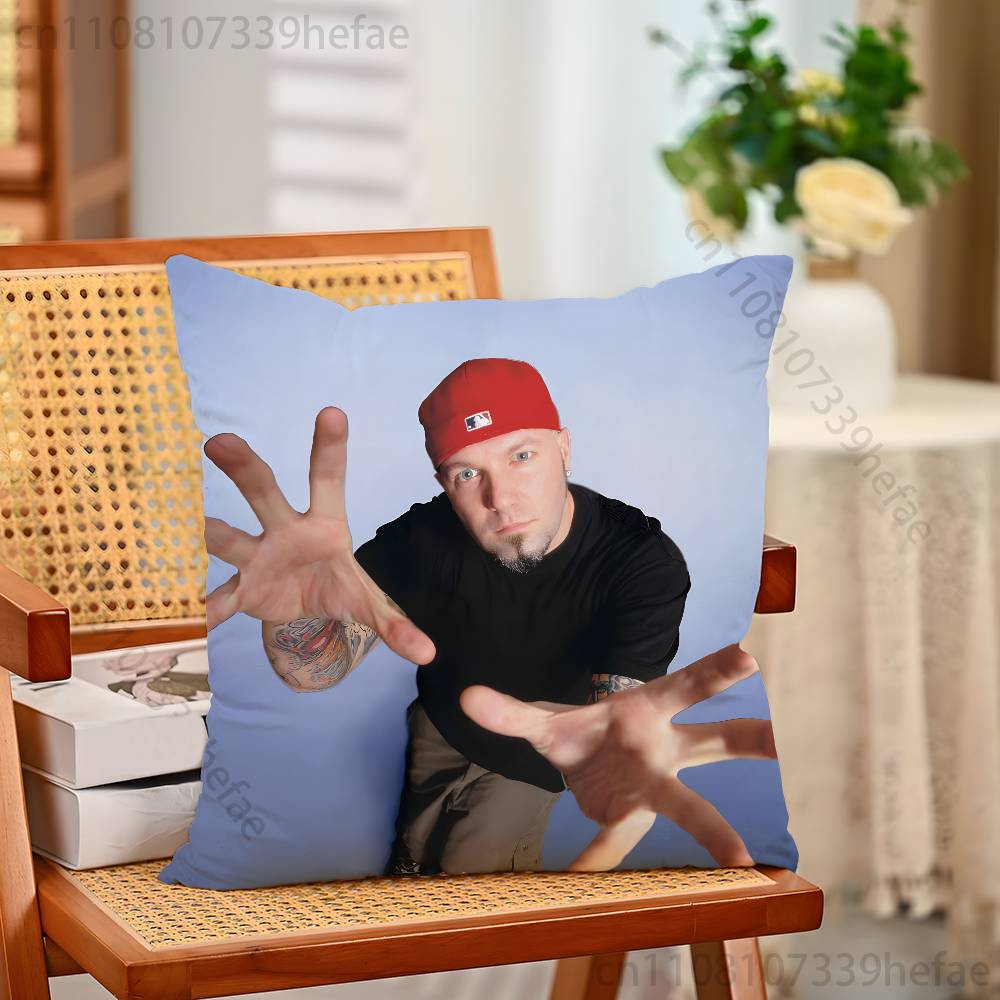 

Band LLimp BBizkit Funny Pillow Case Antidustmite Pillowcase Invisible Zipper Silky Short Plush Sofa Cushion Cover 30x30cm