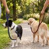 8-strand Woven Dog Slip Lead Bright Color Pet Rope Durable Training Leash  Medium Large Dogs