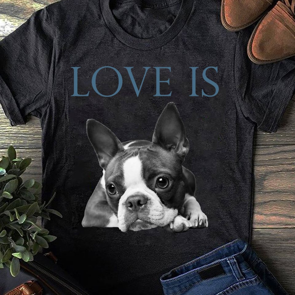 Liebe Ist Boston Terrier T-Shirt: Lustiges Geschenk für Hundeliebhaber