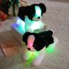 Leuchtendes Border Collie Plüschtier LED-Licht Kindergeschenk Für Kinder
