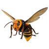 Kaiyodo Rebogio Giant Hornet, Approximately 180mm In Length, PVC & ABS, Painted, Movable Figure, Resale, RG004S