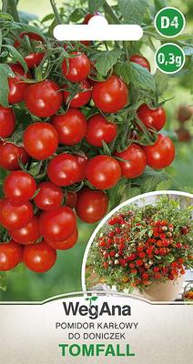Tomaten-Tomfal 0,3 g SEHR FRUCHTBARES Tomatensamen - VegAna