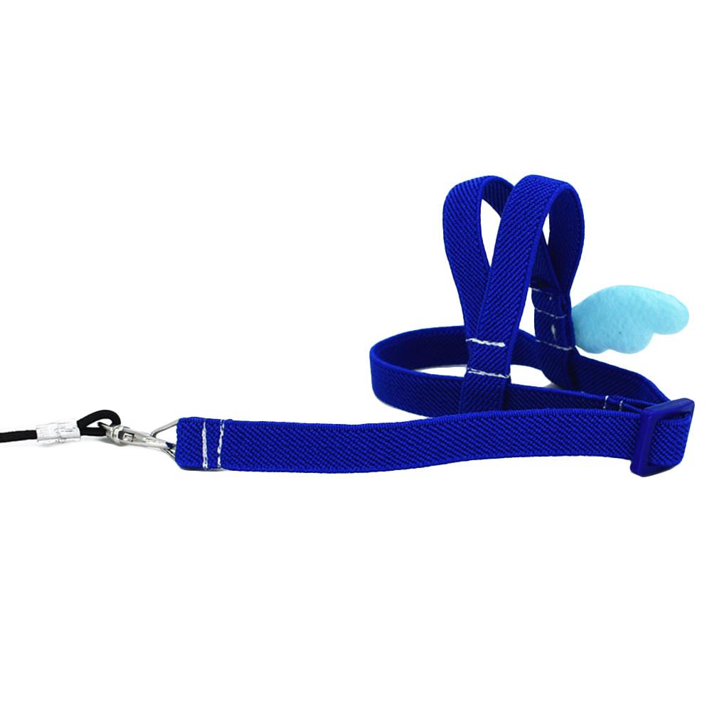 Haustier Papagei Vogel Geschirr und Leine Fliegen Outdoor Training Traktionsseil Gurte für Wellensittich Nymphensittich Kleine Vögel