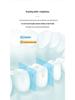 Portable Electric Toothbrush and Water Flosser Set: Ideal for Cross-Border Use