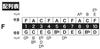 TOMBO 10-Hole Harmonica, F Key, Major Boy 1710